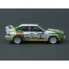 Audi Quattro A2 Nr.6 Winner Barum Rallye 1986, Trofeu 1/43 scale