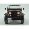 Jeep CJ-7 Golden Eagle 1980, MCG (Model Car Group) 1/18 scale