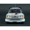 Peugeot 205 T16 E2 Nr.1 Winner Rally 1000 Lakes 1986, IXO Models 1/24 scale