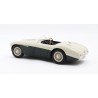 Austin-Healey 100S 1955 (White/Green) model 1:18 Cult Scale Models CML045-2