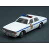 Chevrolet Caprice Punxsutawney Police 1980 Groundhog Day 1993, GreenLight 1/43 scale