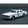 Chevrolet Caprice Punxsutawney Police 1980 Groundhog Day 1993, GreenLight 1/43 scale