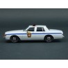 Chevrolet Caprice Punxsutawney Police 1980 Groundhog Day 1993, GreenLight 1/43 scale