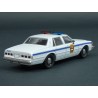 Chevrolet Caprice Punxsutawney Police 1980 Groundhog Day 1993, GreenLight 1/43 scale
