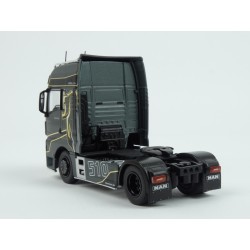 MAN TGX XXL EvoLion 510 2019 model 1:43 IXO Models TR113