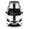 Ford Focus RS Mk.II Le Mans 2010 (White) model 1:18 OttO mobile OT1009