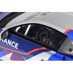 Renault Alpine A110 GT4 Evo Alpine eSport Series 2024 model 1:18 OttO mobile OT1160